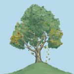 A Prospect of Poetry and Prose